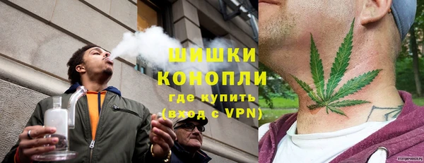 мдпв Горно-Алтайск