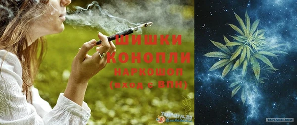мдпв Горно-Алтайск