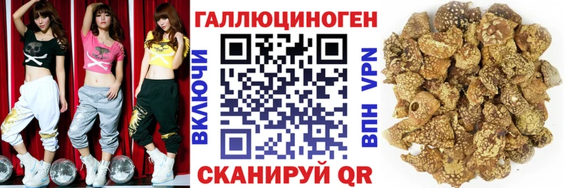 Псилоцибиновые грибы мухоморы Купить закладки Баймак